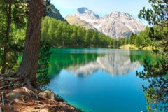 04-19 - Lai da Palpuogna am albula